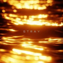 Обкладинка R3DN1K - Stray