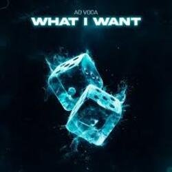 Обкладинка Ad Voca - What I Want