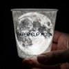 Обкладинка der Flaum - Paper Cup Moon der Flaum - Paper Cup Moon