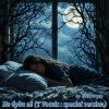 Cover zaevsergey - Не буди её (T Vocals : special version) zaevsergey - Не буди её (T Vocals : special version)