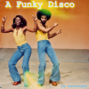 Cover zaevsergey - A Funky Disco zaevsergey - A Funky Disco