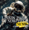 Обкладинка Linkin Park - Numb (DJ Nowitzki Remix 2026) (Cover by Nadeya) Linkin Park - Numb (DJ Nowitzki Remix 2026) (Cover by Nadeya)
