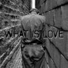 Обкладинка der Flaum - What is love der Flaum - What is love