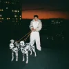 Обкладинка Dyce - AYO Dyce - AYO