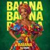 Обкладинка Dj Dark - Baiana Dj Dark - Baiana