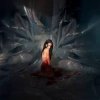 Обкладинка Noémi Büchi - The cryptic precision Noémi Büchi - The cryptic precision