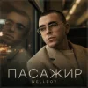 Обкладинка Wellboy - Пасажир Wellboy - Пасажир