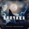 Обкладинка Виктор Могилатов - Волчица Виктор Могилатов - Волчица