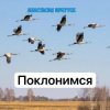 Обкладинка Анастасия Иркутск - Поклонимся Анастасия Иркутск - Поклонимся