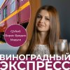 Обкладинка CjVitoS, Борис Бредин, Маруся - Виноградный экспресс 2.0 CjVitoS, Борис Бредин, Маруся - Виноградный экспресс 2.0