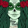 Обкладинка Shiny Radio - Read My Lips (Original Mix) Shiny Radio - Read My Lips (Original Mix)