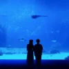 Обкладинка Mattyeux & Princess Chelsea & Vieoclub - Sometimes Mattyeux & Princess Chelsea & Vieoclub - Sometimes