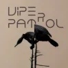 Viper Patrol - What Is (Original Mix)