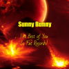 Обкладинка Sunny Bunny - The Best of You So Fat Records! Sunny Bunny - The Best of You So Fat Records!