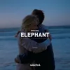 Обкладинка Don Diablo - Elephant Don Diablo - Elephant