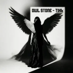 Обкладинка Owl Stone - Тінь