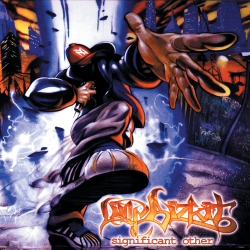 Обкладинка Limp Bizkit - Dont Go Off Wandering