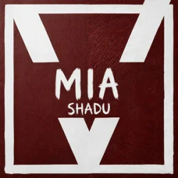 Обкладинка SHADU - Imma say