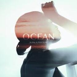 Обкладинка W.J.Rec, FRXSTBURN - Ocean