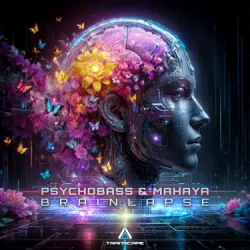 Обкладинка Psychobass - The Mystery