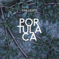 Обкладинка Colleoni - Senza Primavera