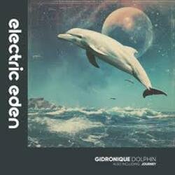 Обкладинка Gidronique - Dolphin