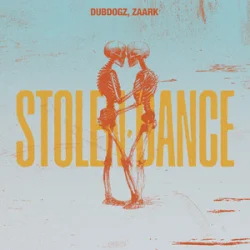 Обкладинка Dubdogz & Zaark - Stolen Dance