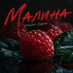 Обкладинка Ніколас Карма - Малина