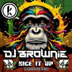 Обкладинка DJ Brownie - Nice It Up