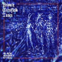 Обкладинка Private Cornfield Tunes - Narcotic Fog Syndicates
