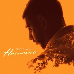 Обкладинка Эллаи - Насильно