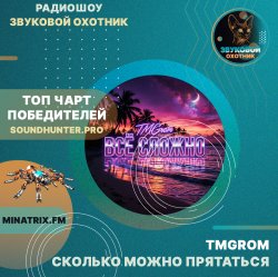 Обкладинка TMGrom - Сколько можно прятаться (soundhunter.pro)