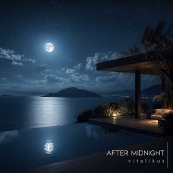 Обкладинка ViTaLiKuS - After Midnight