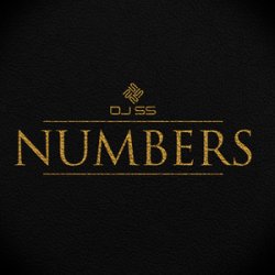 Обкладинка 01. Dj Ss & Tribe Steppaz feat. ZIA Sound MCs - The World of Drum & Bass