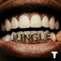 Обкладинка TroyBoi & Shiwa - Jungle