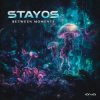 Обкладинка Stayos - Tov Li (Original Mix) Stayos - Tov Li (Original Mix)