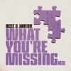 Обкладинка BCee & Javeon - What You're Missing BCee & Javeon - What You're Missing