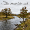 Калымщик - Thin mountain ash