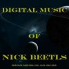 Nick Beetls - Synthesis Gas