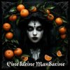 Обкладинка DJ Katya Kadykov - Eine kleine Mandarine DJ Katya Kadykov - Eine kleine Mandarine
