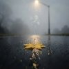 Обкладинка Роман - ОСЕНЬ Роман - ОСЕНЬ