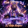 Обкладинка DJ Katya Kadykov - Кото - Ракамакафло DJ Katya Kadykov - Кото - Ракамакафло