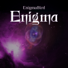 Cover EnigmaBird - Enigma EnigmaBird - Enigma