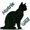 Обкладинка DJ Katya Kadykov - Matrix (minatrix_edition) DJ Katya Kadykov - Matrix (minatrix_edition)