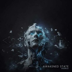 Обкладинка ViTaLiKuS - Awakened State