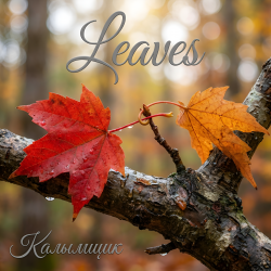 Обкладинка Калымщик - Leaves