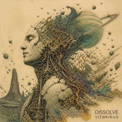 Обкладинка ViTaLiKuS - Dissolve