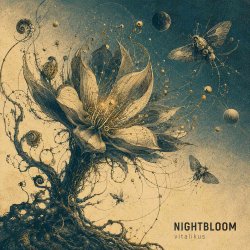 Обкладинка ViTaLiKuS - NIGHTBLOOM