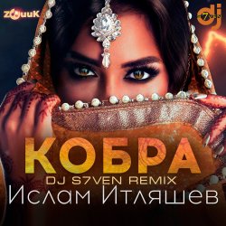 Обкладинка Кобра (DJ S7ven Radio Edit)