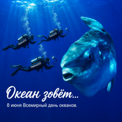 Обкладинка Helena210 - Океан 🌊